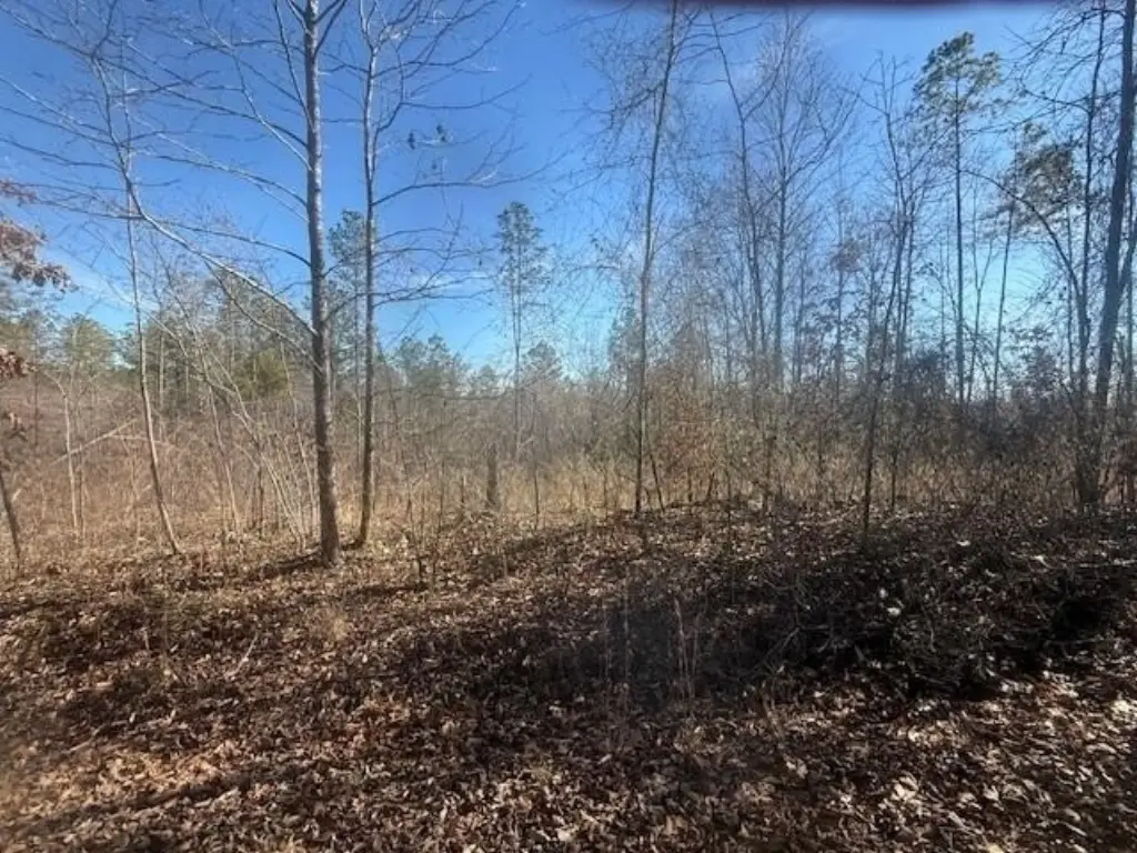 Picture 6