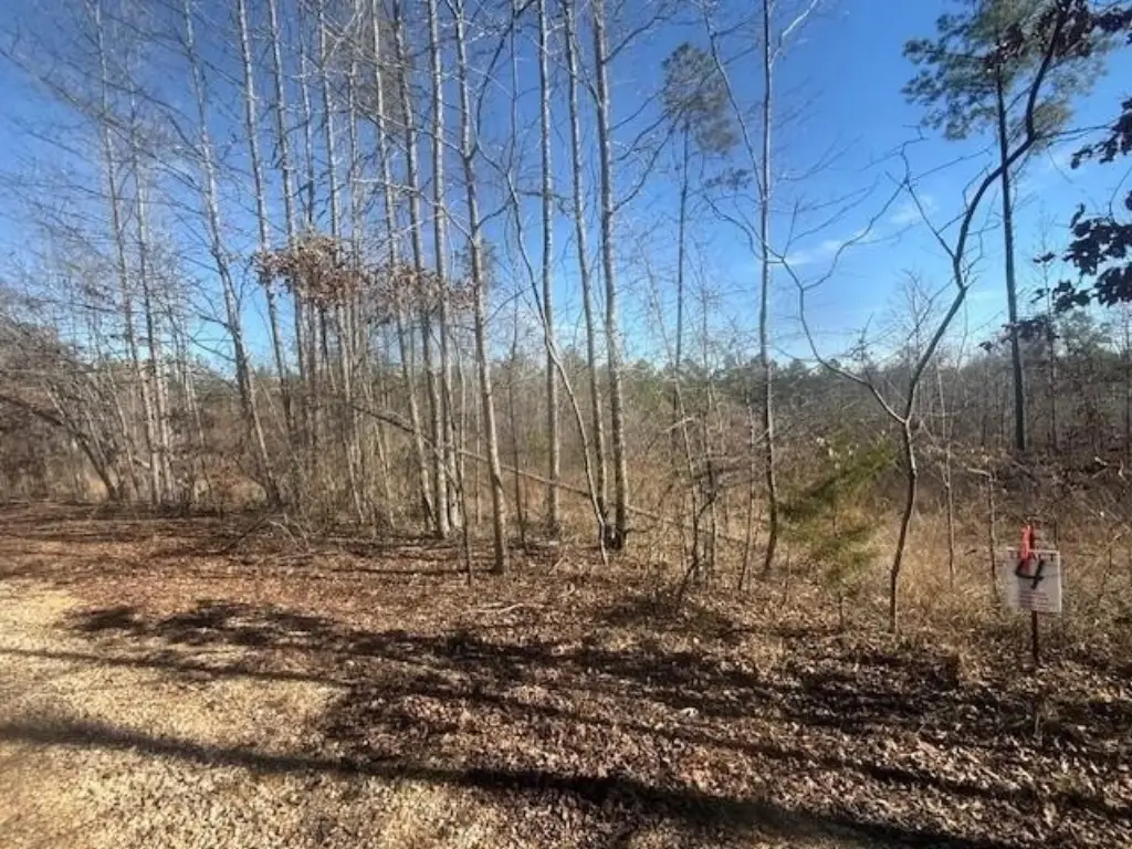 Picture 15