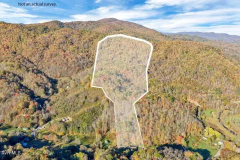 Roan Mountain Land with Forest Access
