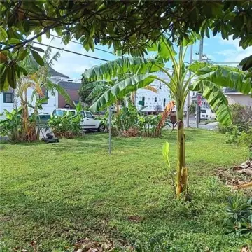 Vacant Land in Historic Marigny