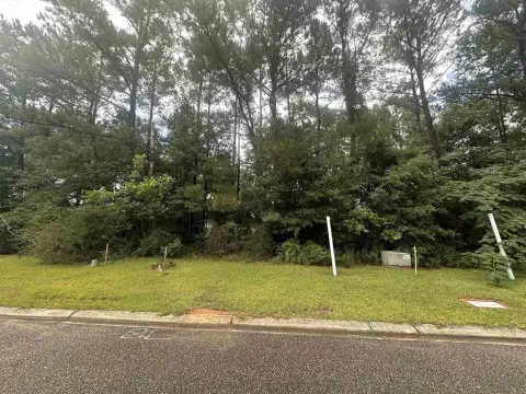 Residential Lot in Cascade Falls