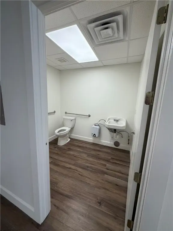 Picture 6