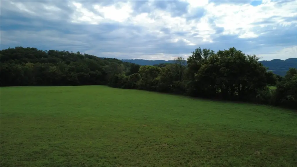 Picture 26