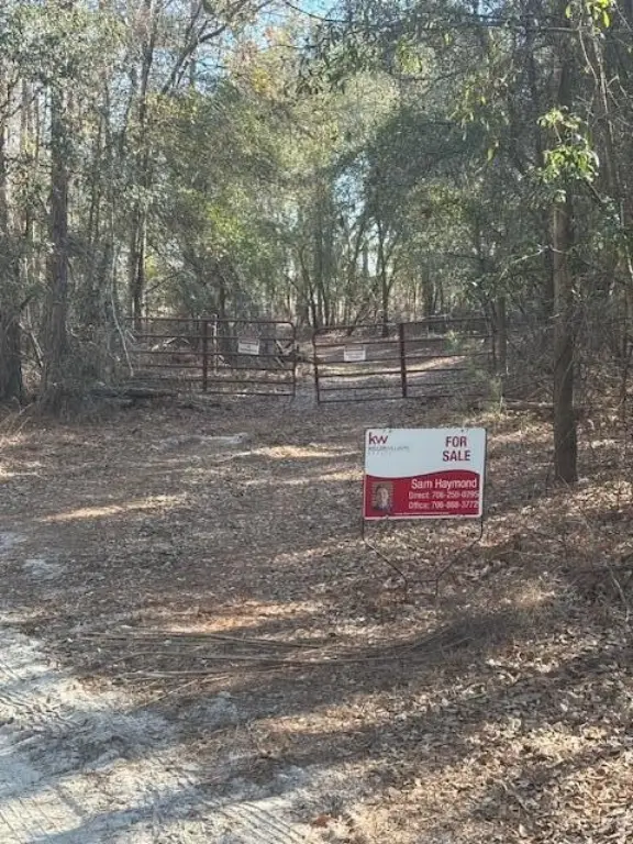 Picture 2