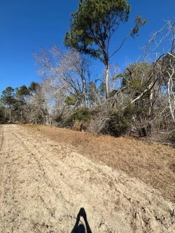 Picture 6