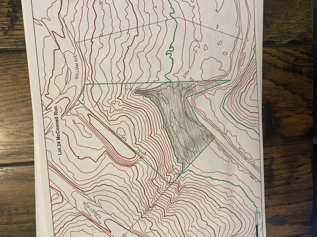 Picture 17