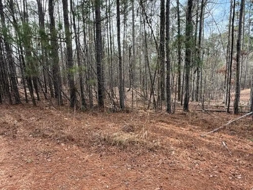 Picture 3