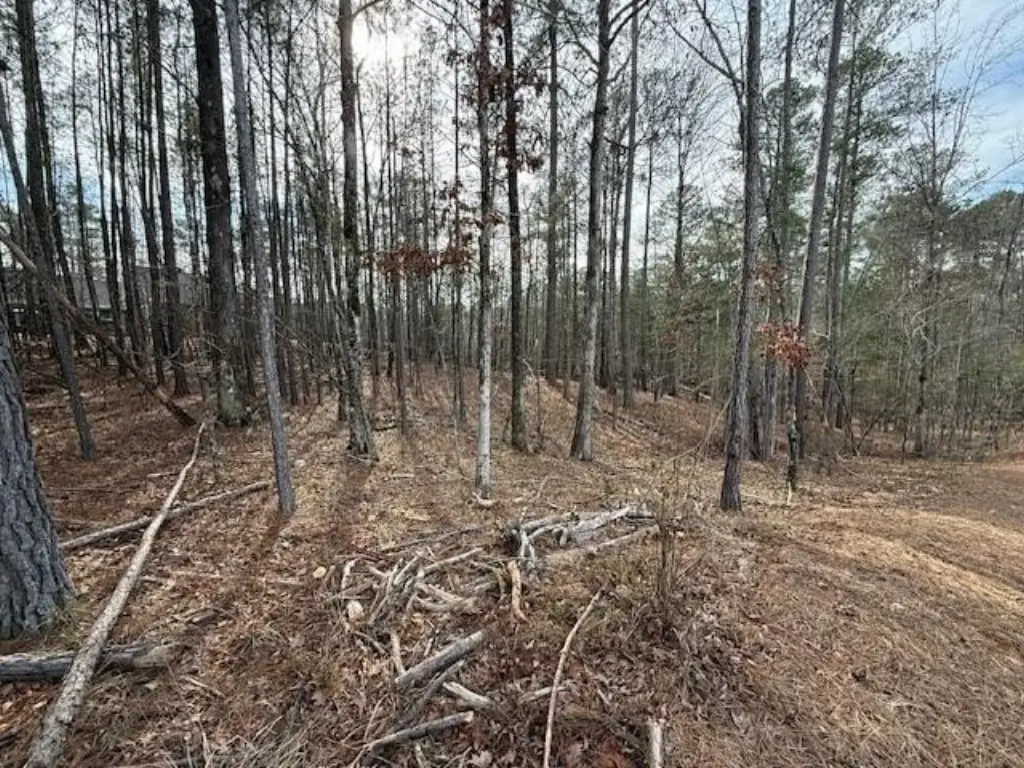 Picture 4