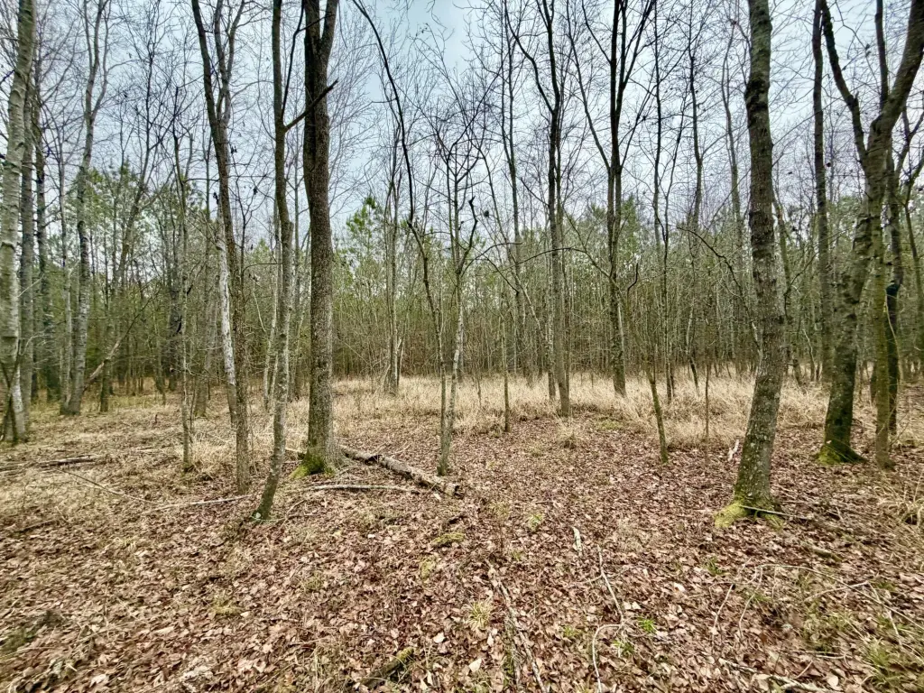 Picture 11