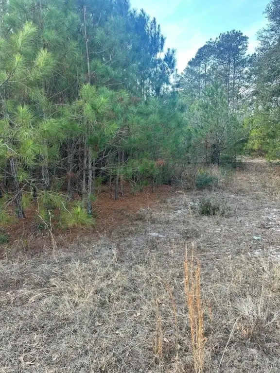 Picture 18