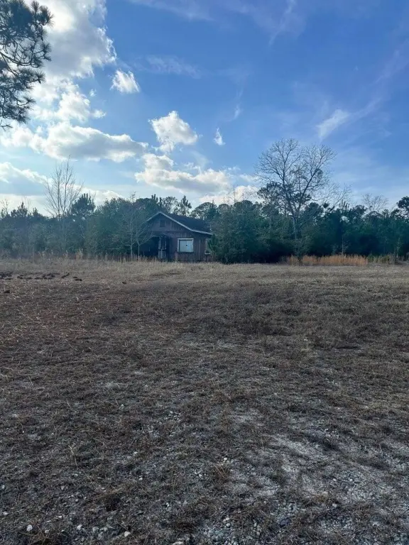 Picture 20