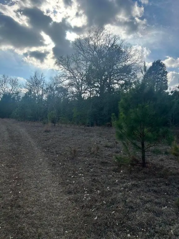 Picture 17
