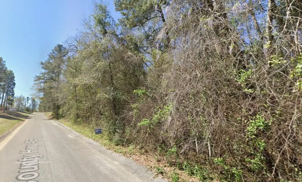 Picture 2
