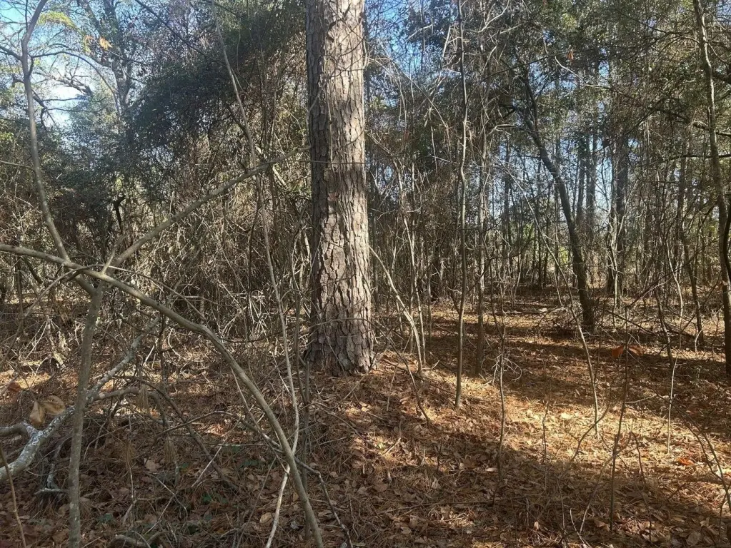 Picture 3