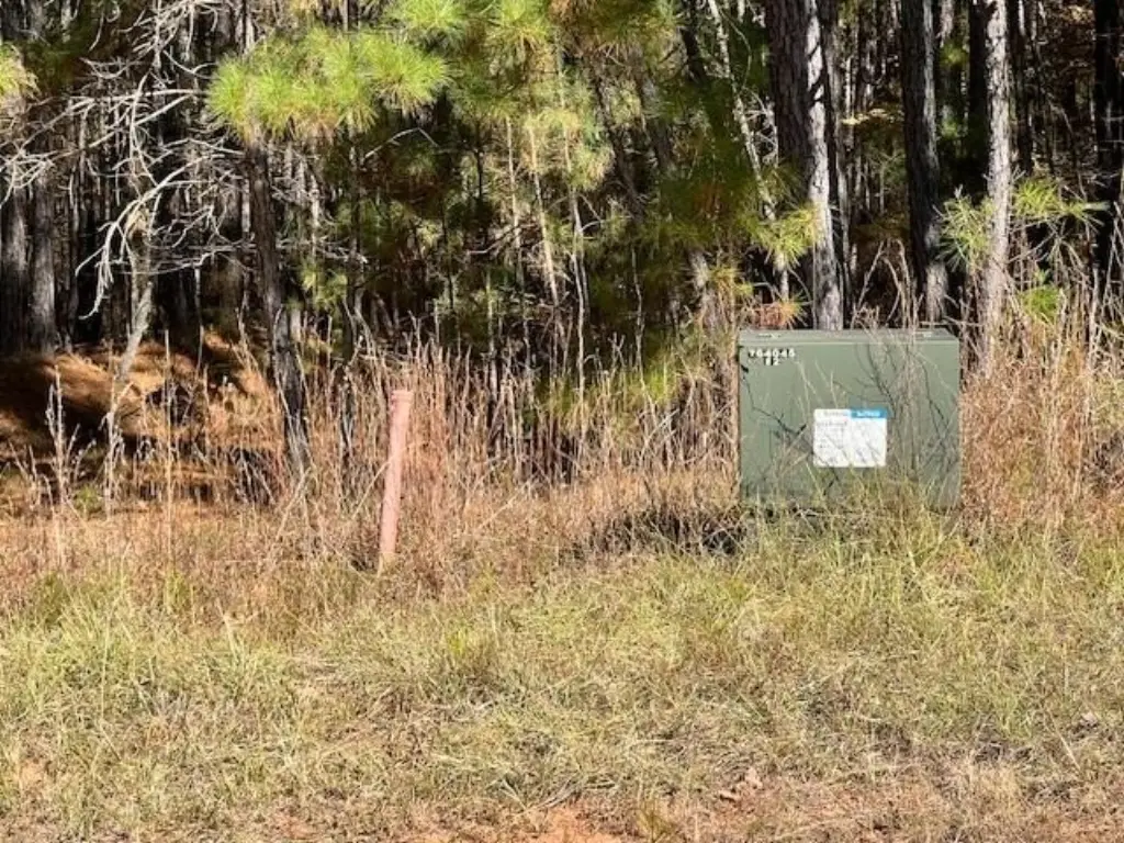 Picture 4