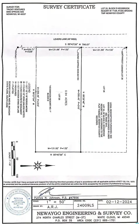 Picture 6