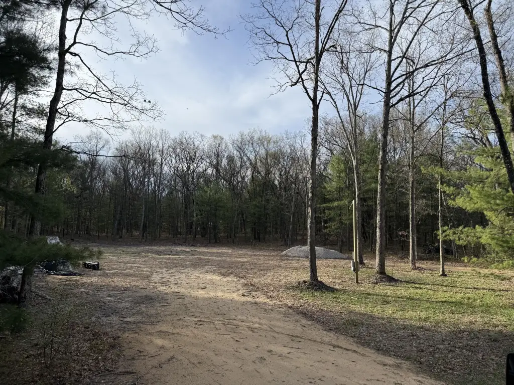 Picture 3