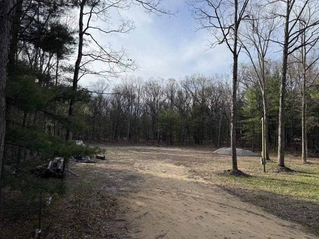 Picture 41
