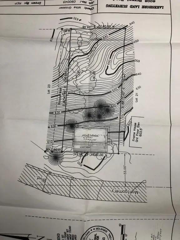 Picture 13
