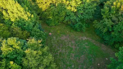 71+ Acres Hunting Land, Jefferson, TX