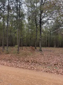 Vacant Land in Ashdown, AR
