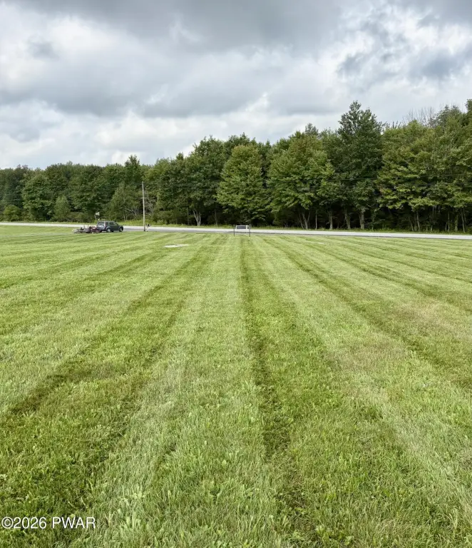 Picture 5