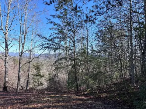 Land with Mountain Views