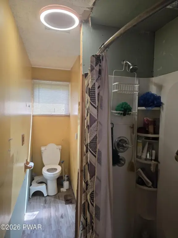 Picture 9