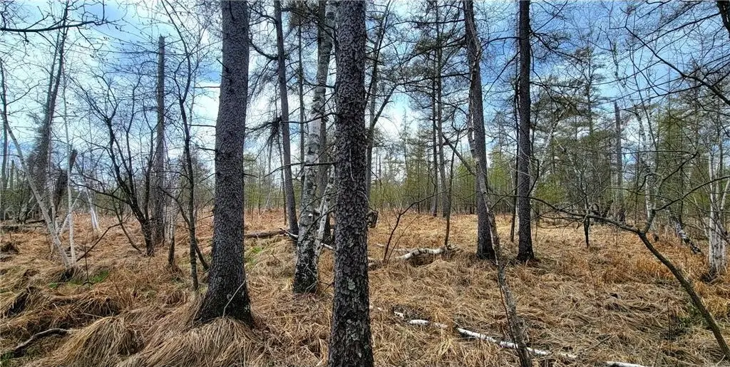 Picture 14
