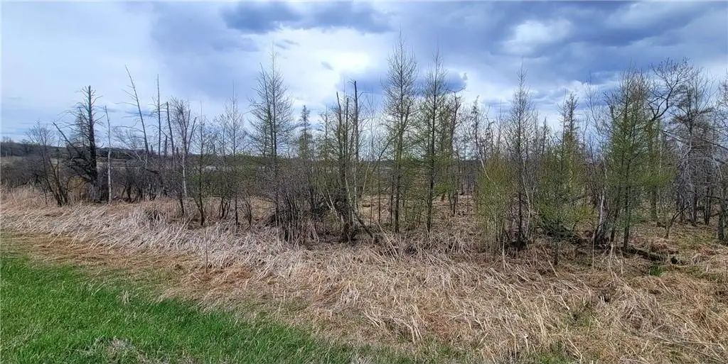Picture 17
