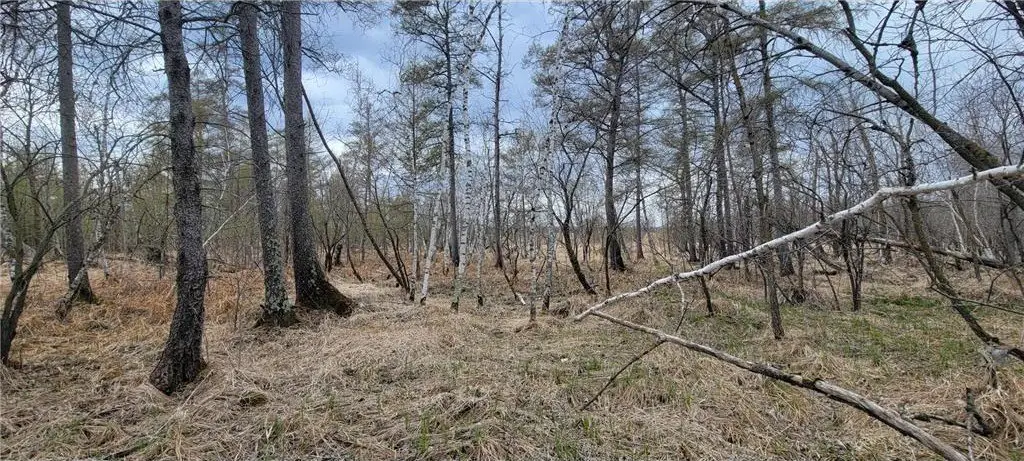 Picture 16
