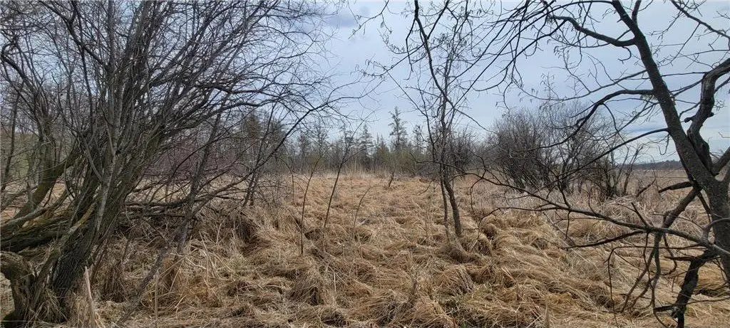 Picture 7