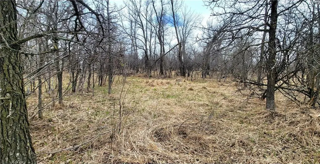 Picture 4