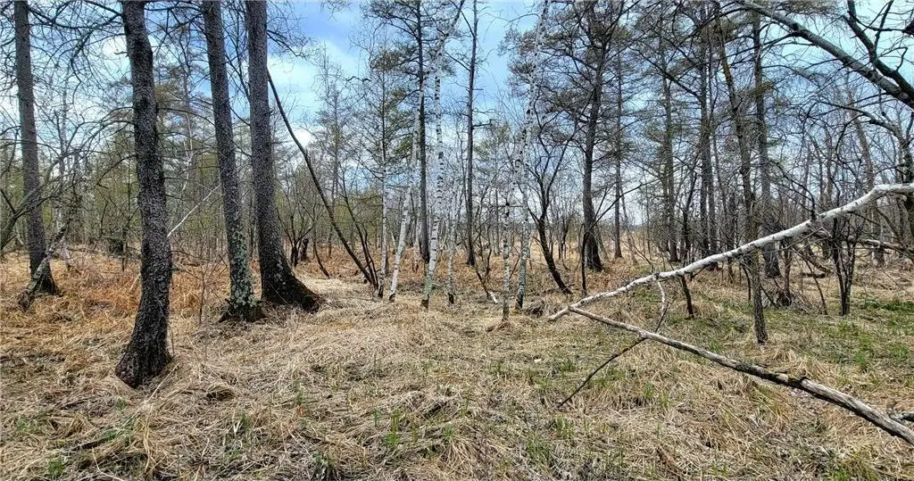 Picture 15