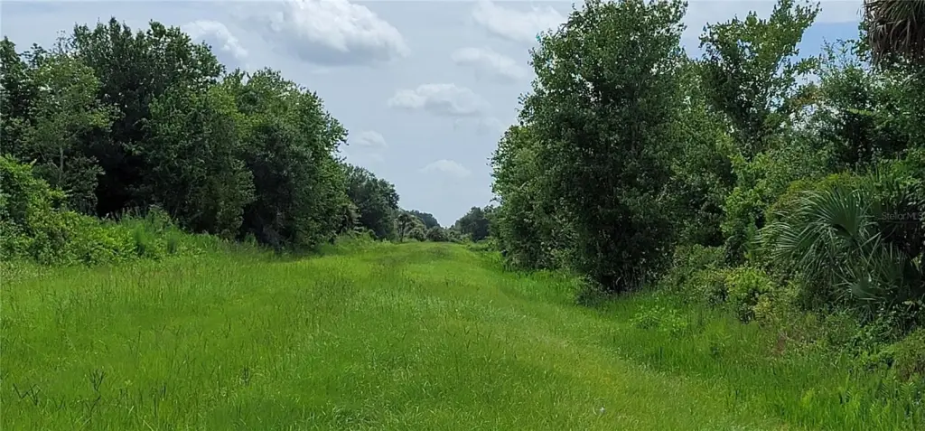 Picture 13