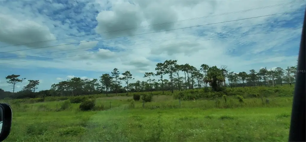 Picture 30