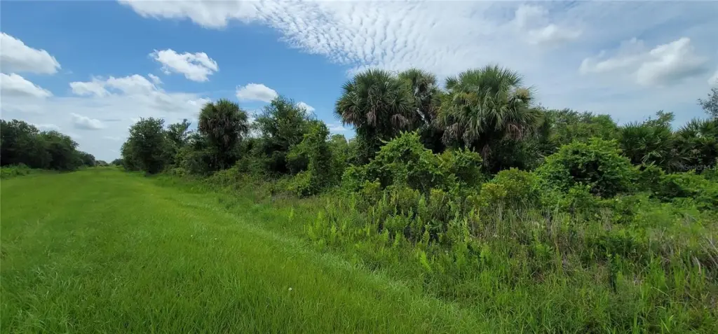 Picture 6