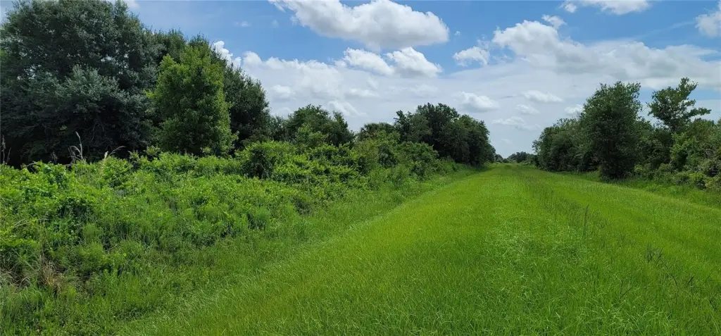 Picture 8