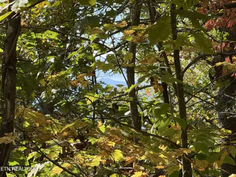 Sevierville Land with Mountain Views