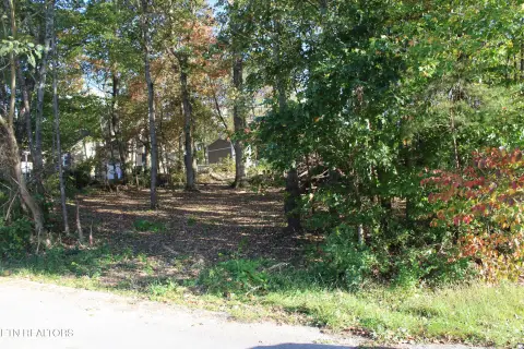 Buildable Lot in Established Subdivision
