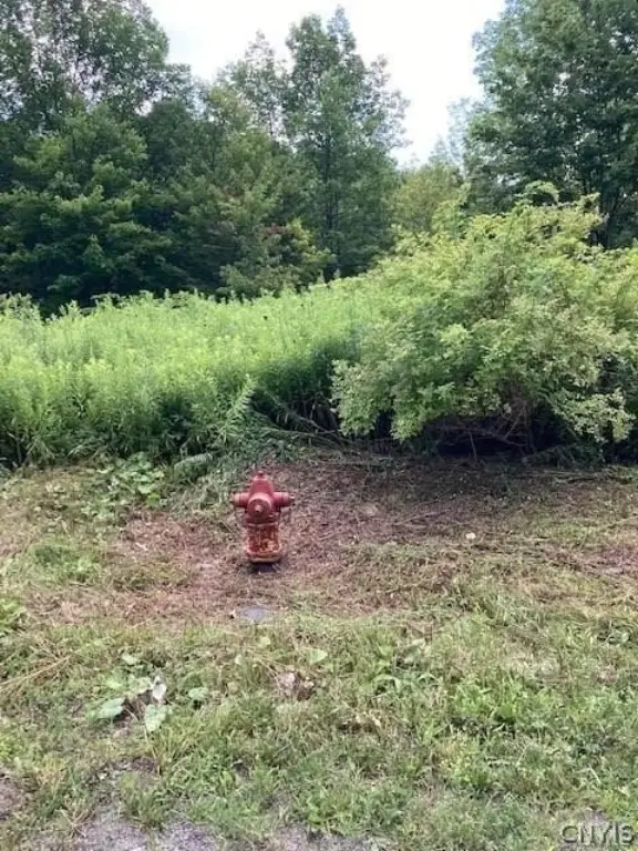 Picture 2