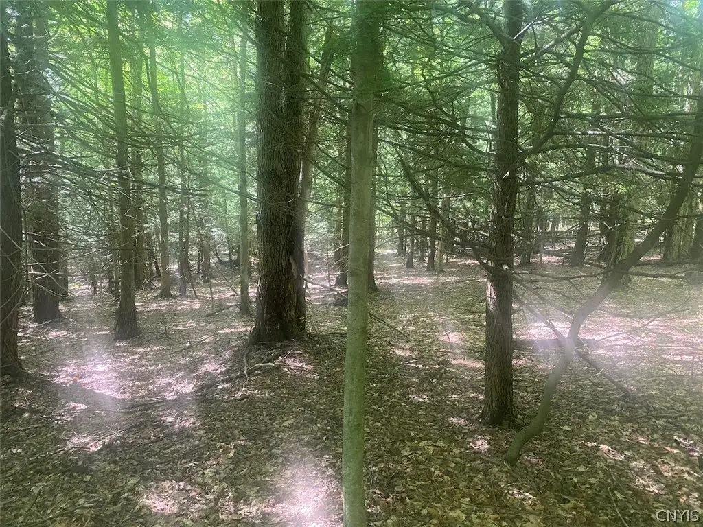 Picture 21