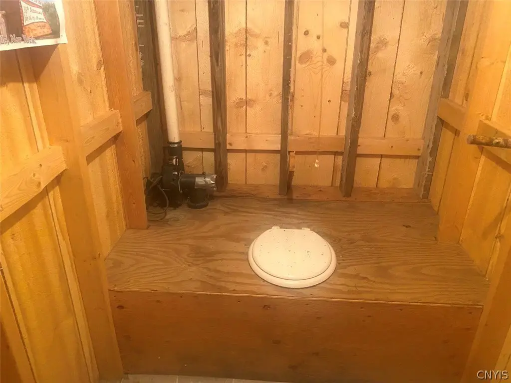 Picture 15