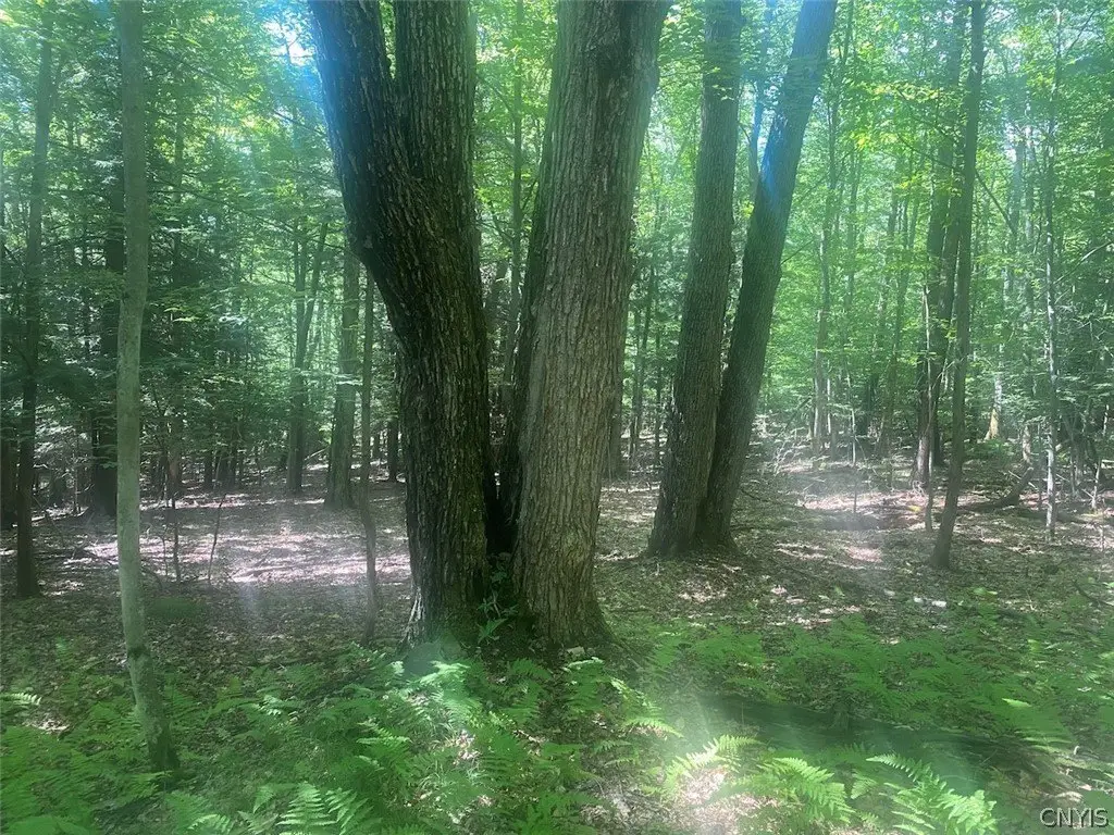 Picture 20