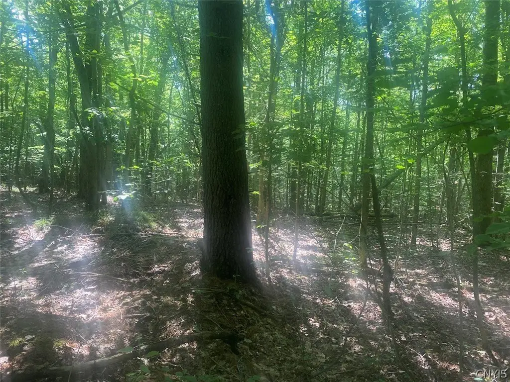 Picture 23