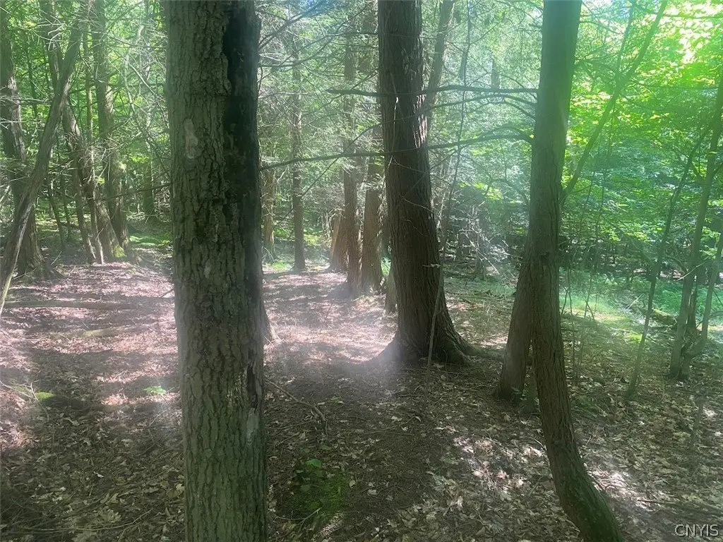 Picture 18