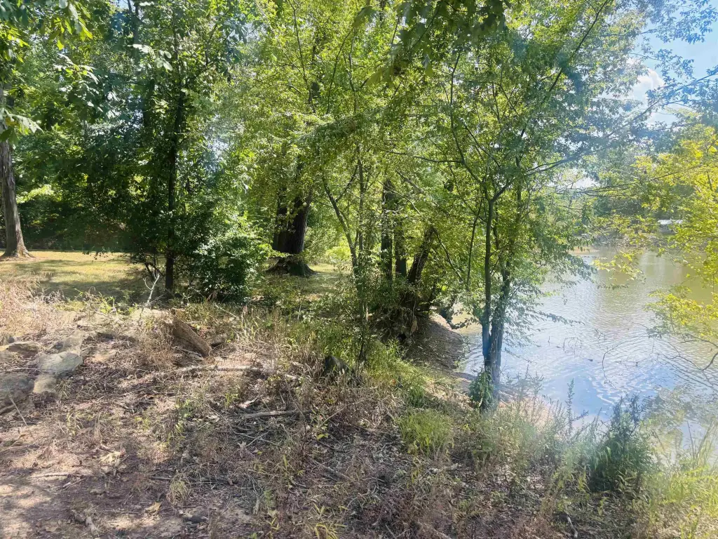 Picture 20
