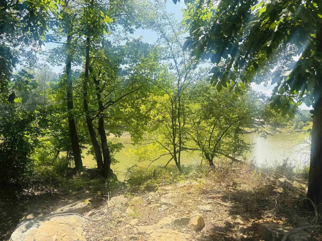 Picture 18