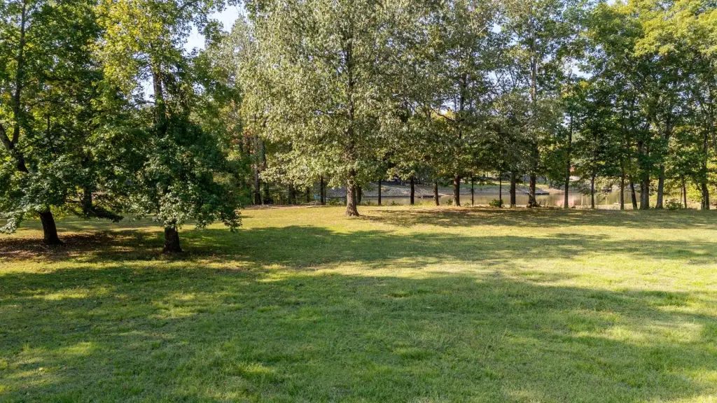 Picture 23
