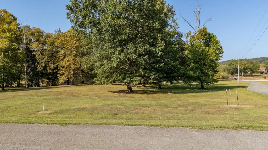 Picture 27